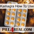 Kamagra How To Use levitra2